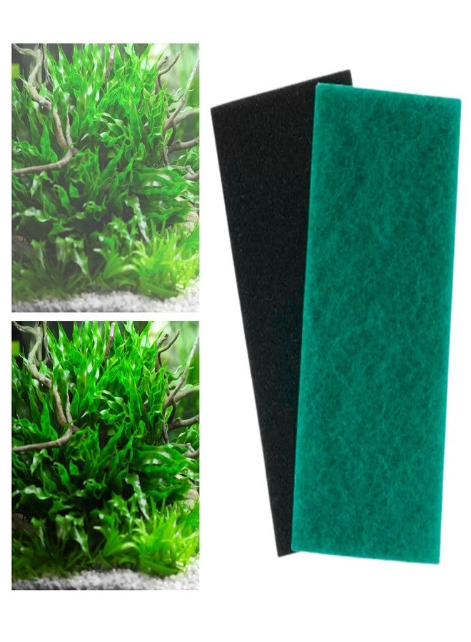 إسفنجة ترشيح بيولوجية لأحواض السمك من فاييناتو®، قطعتان، أخضر + أسود (30 × 11 × 2 سم) | توفر ترشيحًا ميكانيكيًا وبيولوجيًا | متينة وقابلة لإعادة الاستخدام | مثالية للمياه العذبة والمالحة - Image 1